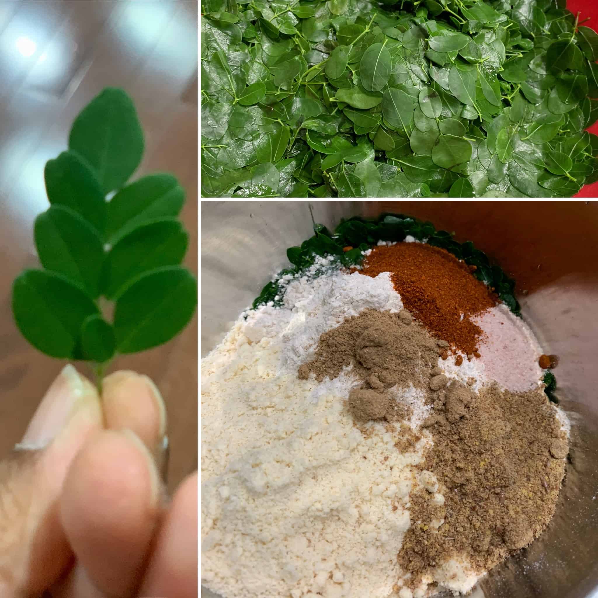Moringa Paratha