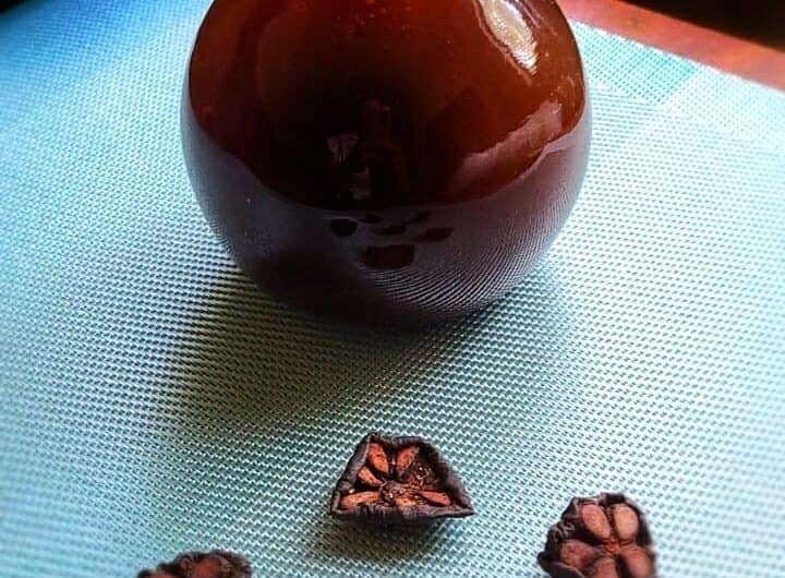 Kokum Sherbet