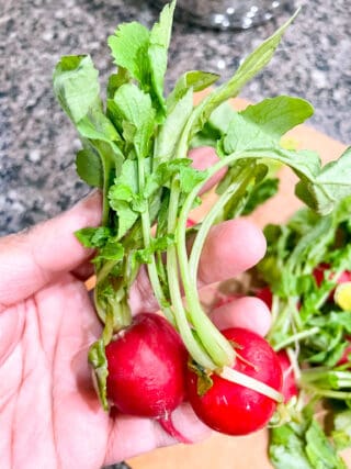 Radish greens held up close.