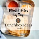 Kids lunchbox ideas with Steel cut oats dosa, mango pickle and clementine in lunchbox.